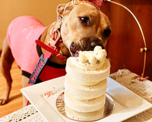 Load image into Gallery viewer, Funfetti Cake