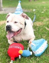 Load image into Gallery viewer, Zippy Paws Birthday Box