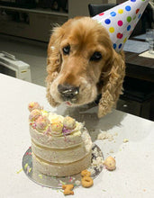 Load image into Gallery viewer, Funfetti Cake