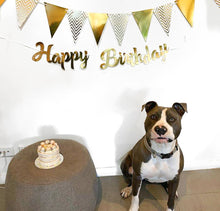 Load image into Gallery viewer, Funfetti Cake