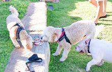 Load image into Gallery viewer, Donut Tower