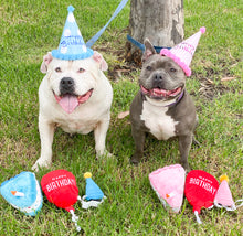 Load image into Gallery viewer, Zippy Paws Birthday Box