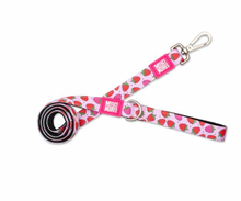 Load image into Gallery viewer, Max & Molly Matching Leads