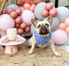 Load image into Gallery viewer, Funfetti Cake