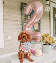 Load image into Gallery viewer, Funfetti Cake