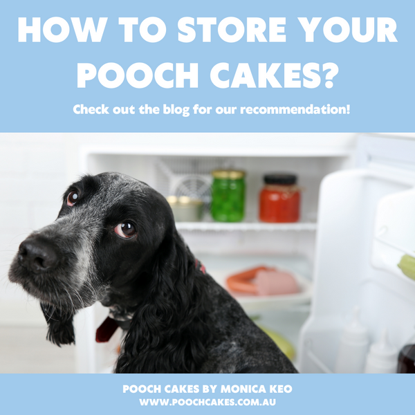 How to Store Your Pooch Cakes