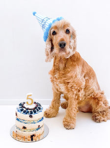 Party Hat with Pom Poms