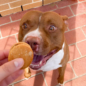 Peanut Butter Macarons