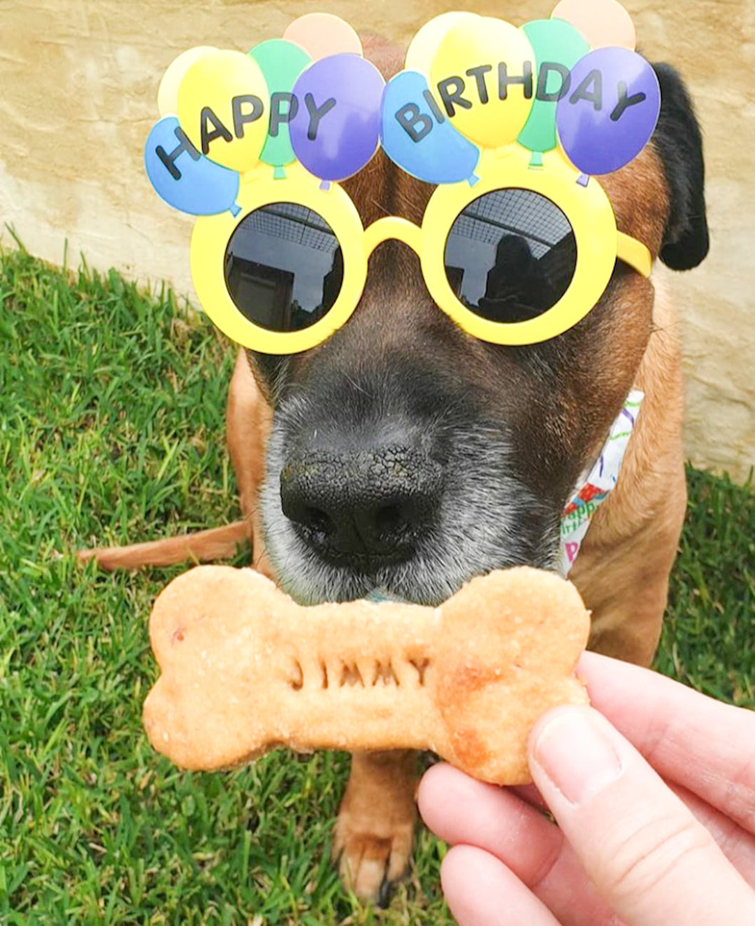 Personalised Pooch Bones