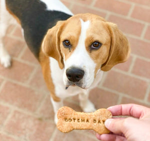 Happy Birthday / Gotcha Day Treats