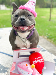 Zippy Paws Birthday Box