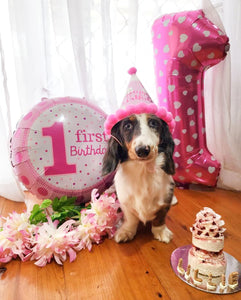 Party Hat with Pom Poms